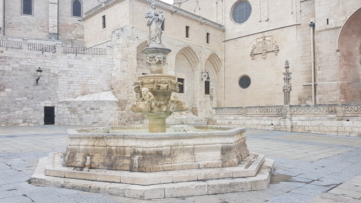 20170625_152144_001.jpg 25. Juni 2017