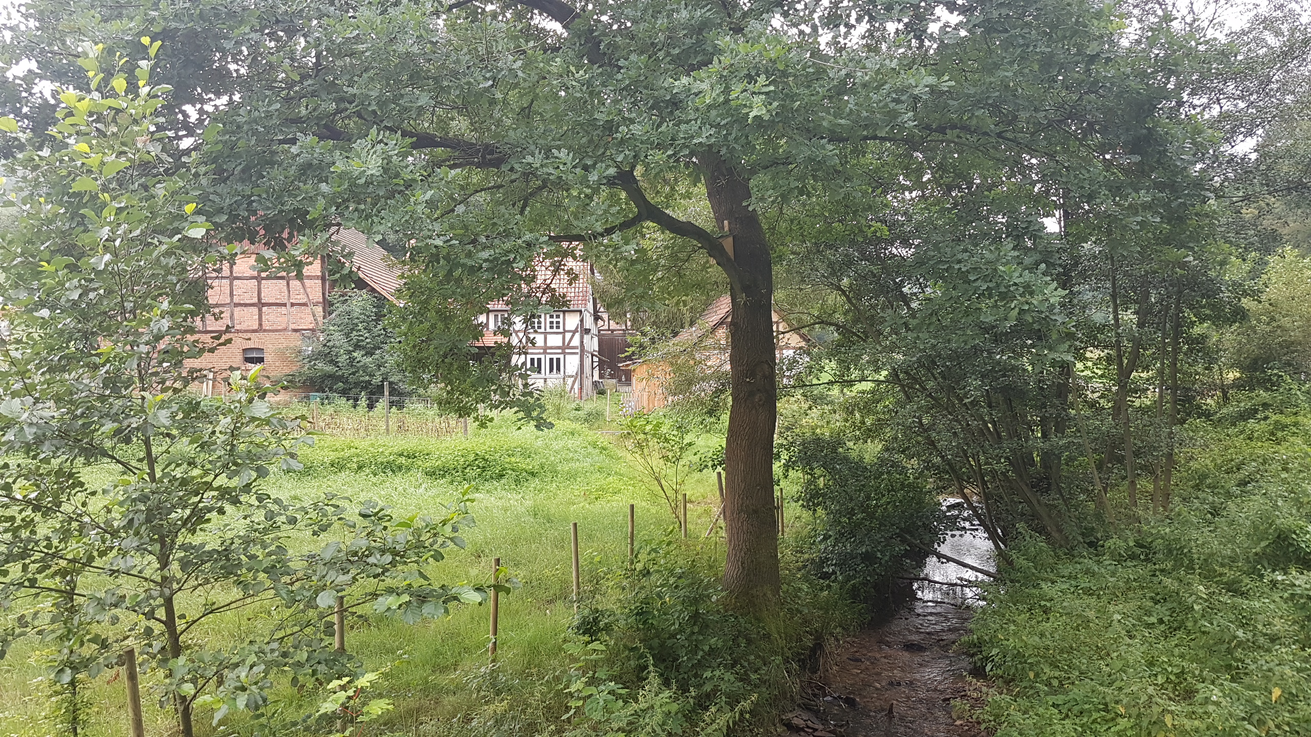 20170803_115853.jpg  3. August 2017