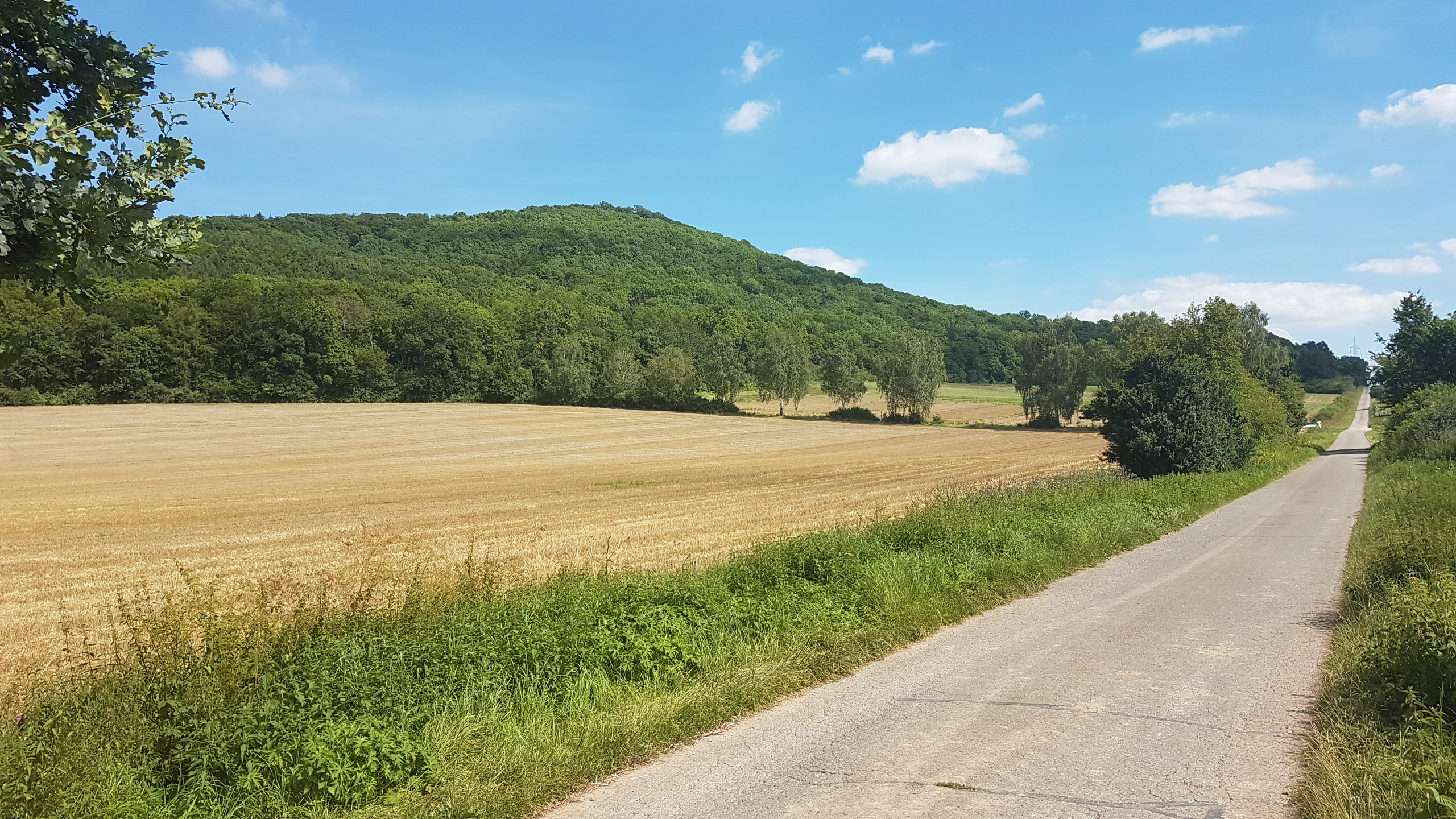 20170807_121946.jpg	 7. August 2017