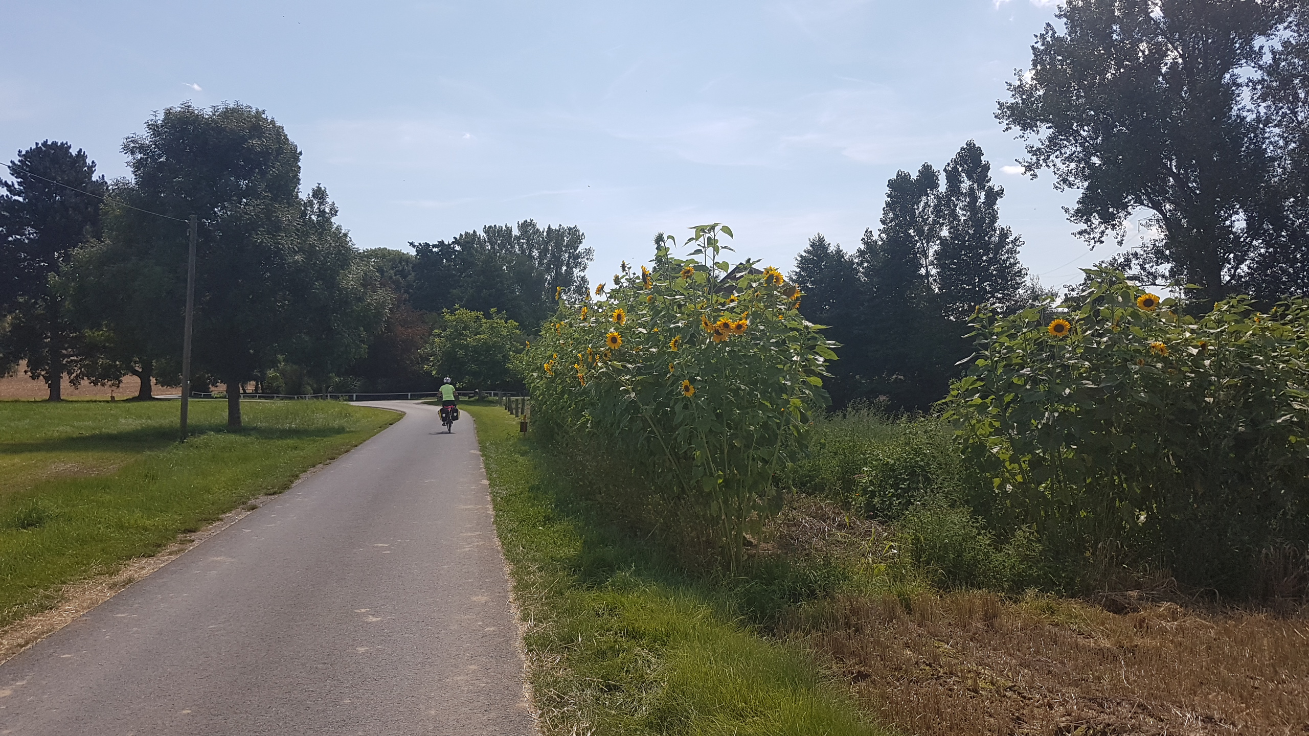 20170807_1253180.jpg	 7. August 2017