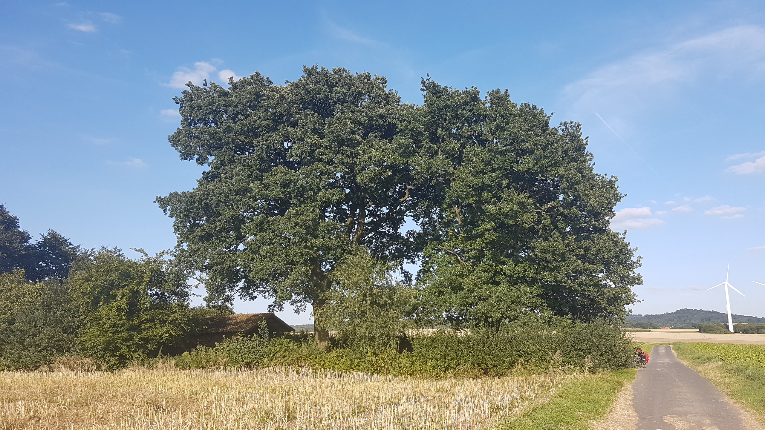 20170807_183509.jpg	 7. August 2017