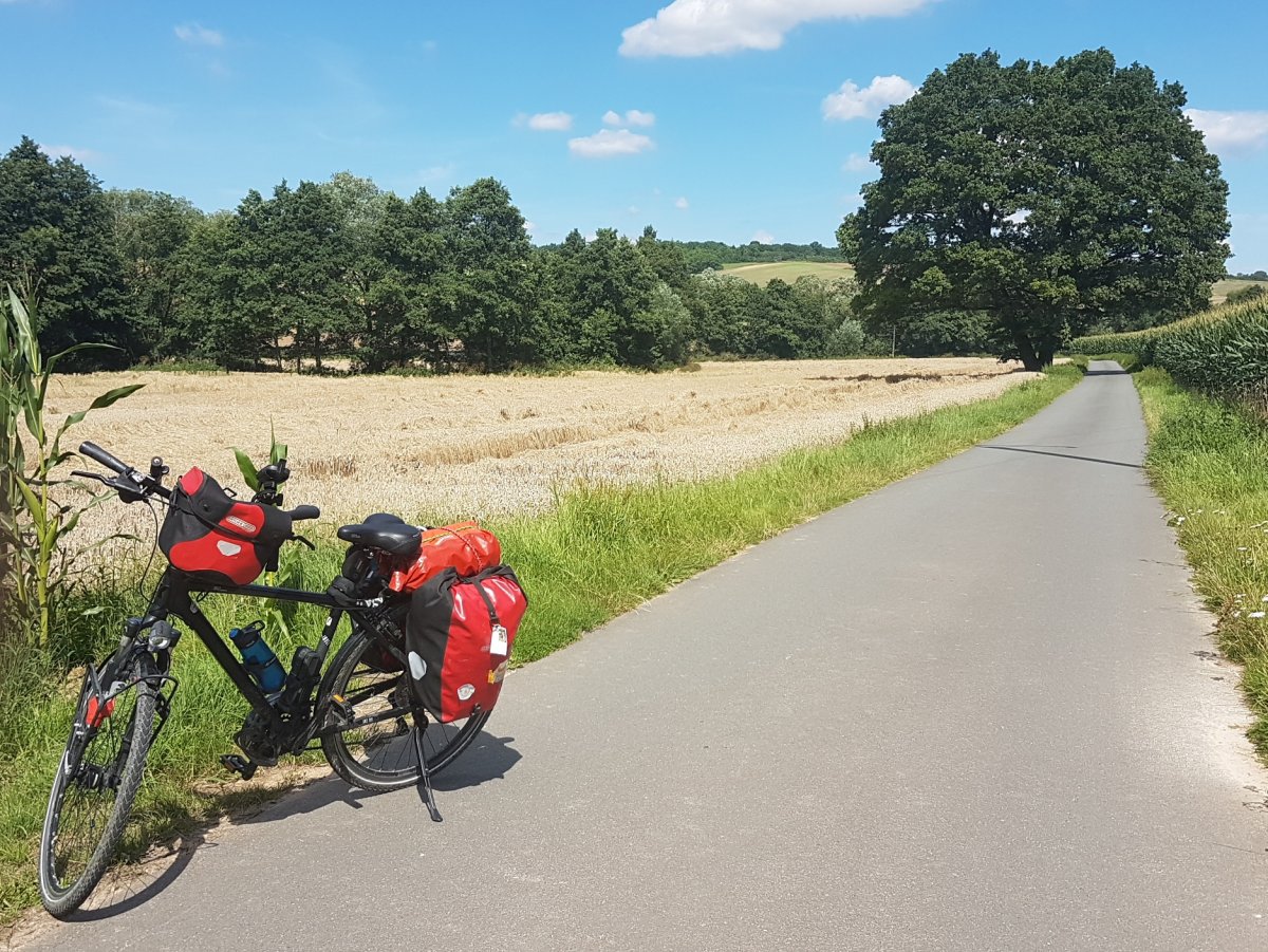 20170807_120903k.jpg 7. August 2017