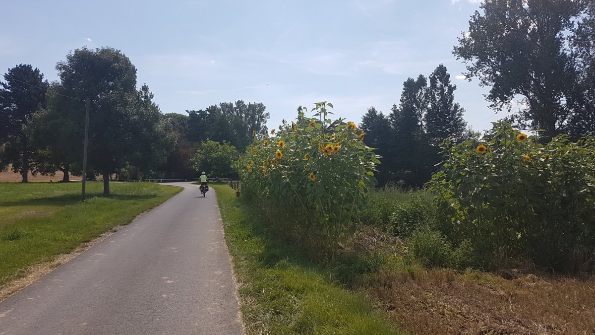 20170807_1253180.jpg 7. August 2017