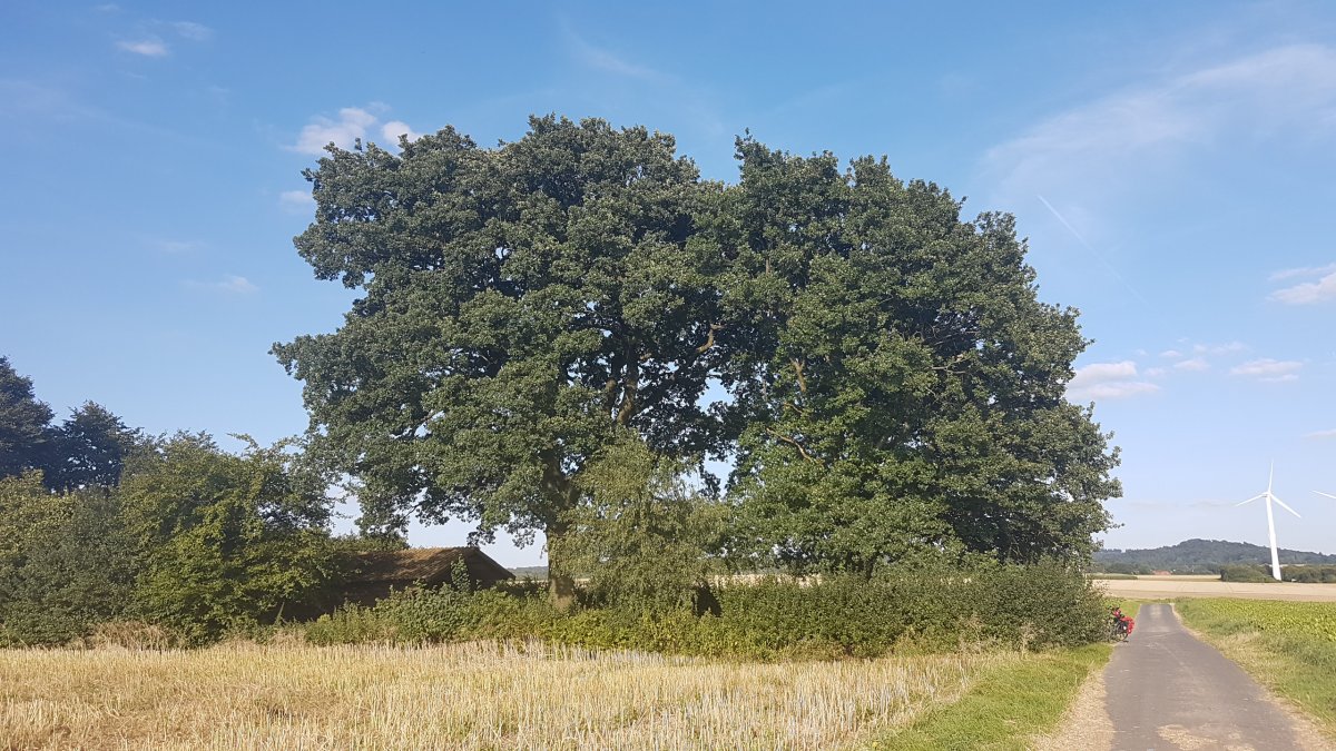 20170807_183509.jpg 7. August 2017