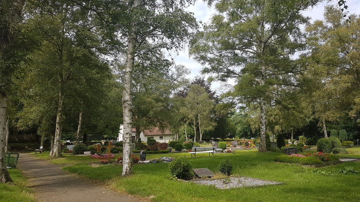 20170808_122938.jpg 8. August 2017