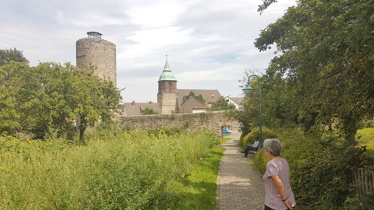 20170808_123508.jpg 8. August 2017