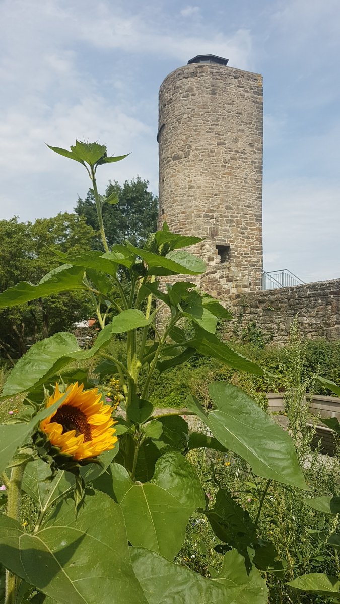 20170808_1235390.jpg 8. August 2017