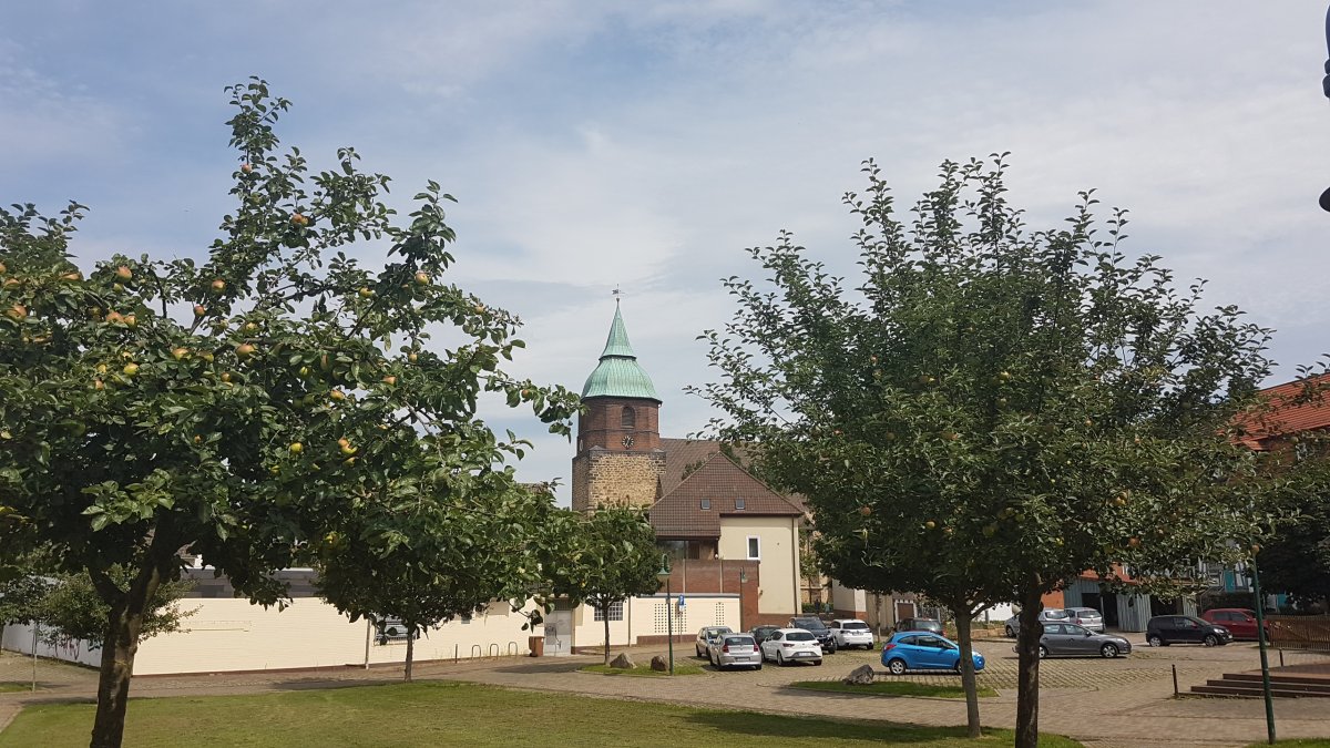 20170808_123609.jpg 8. August 2017