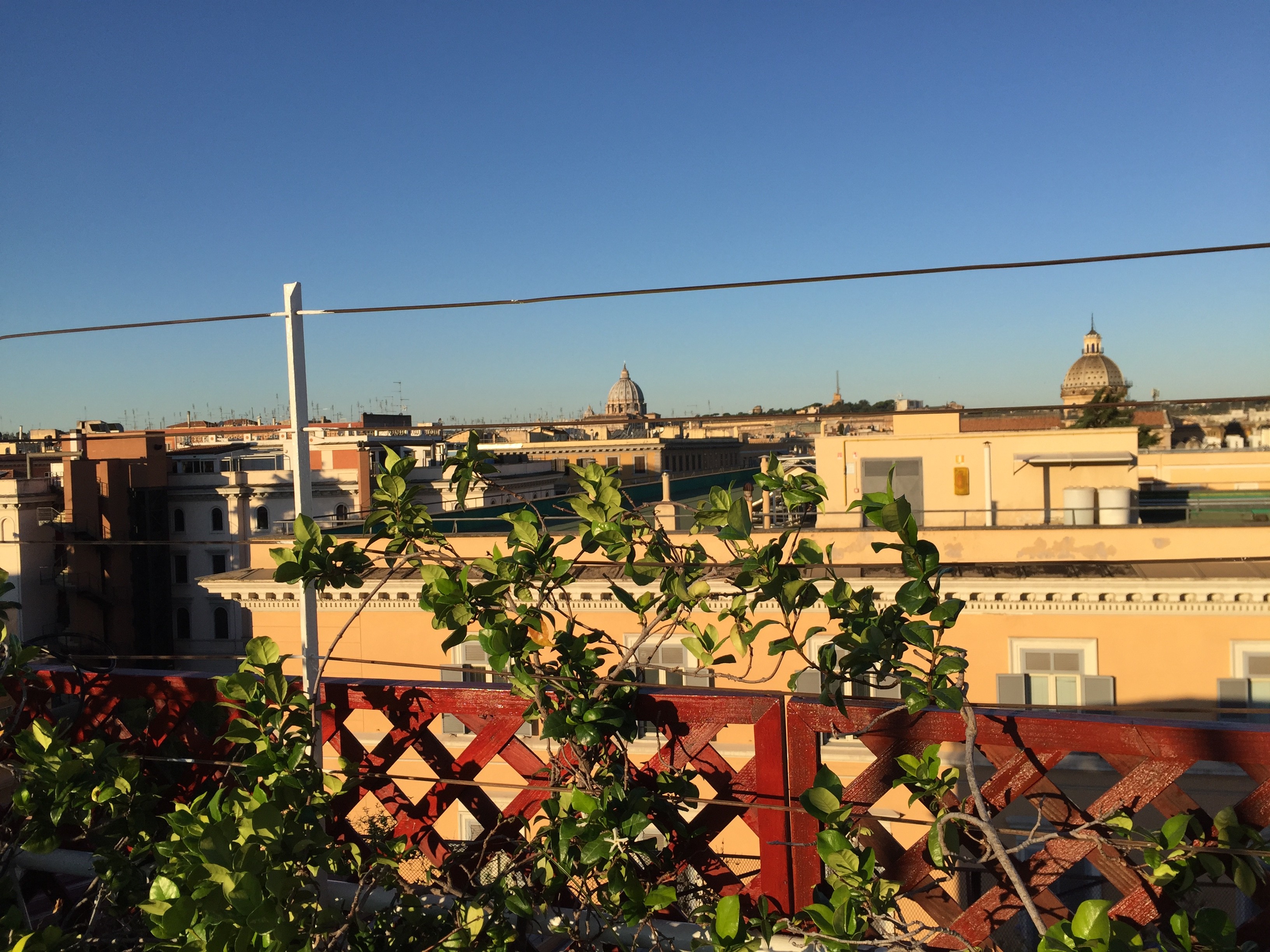 20170921_0800 img_6008.jpg  21. September 2017