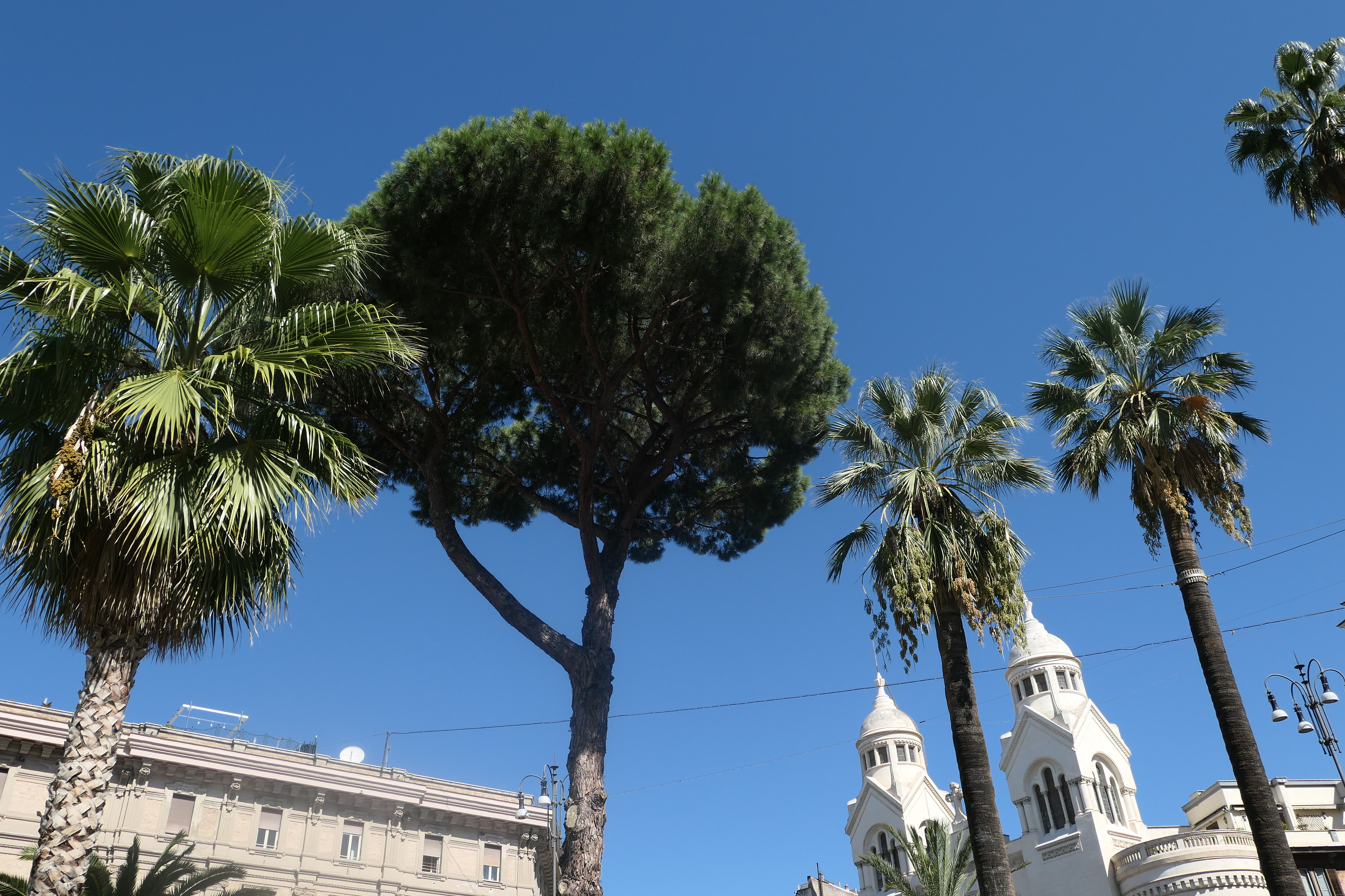 20170921_1158 p1000971.jpg  21. September 2017