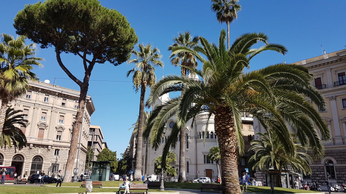 20170921_115934.jpg 21. September 2017