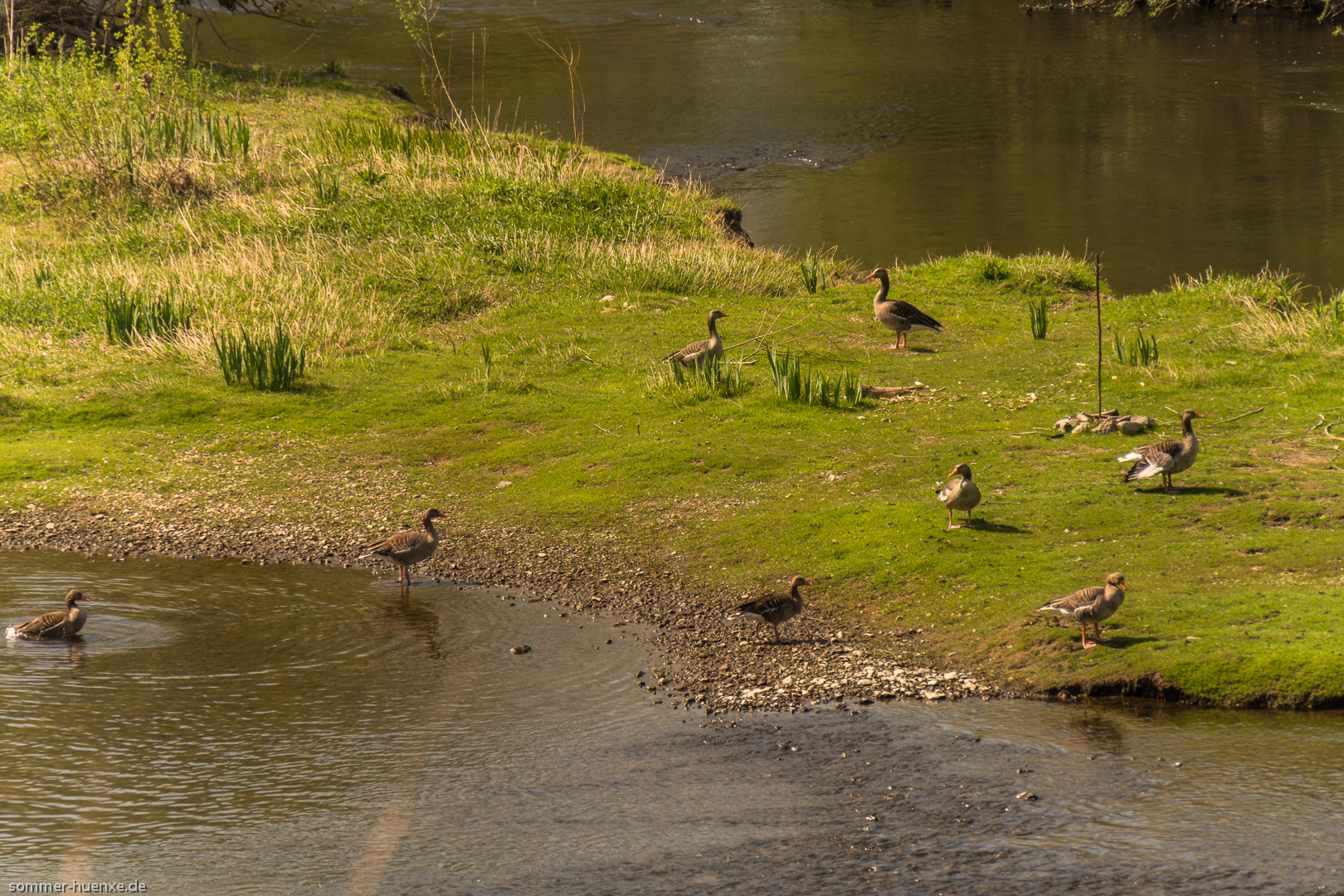 Frühling an der Lippe