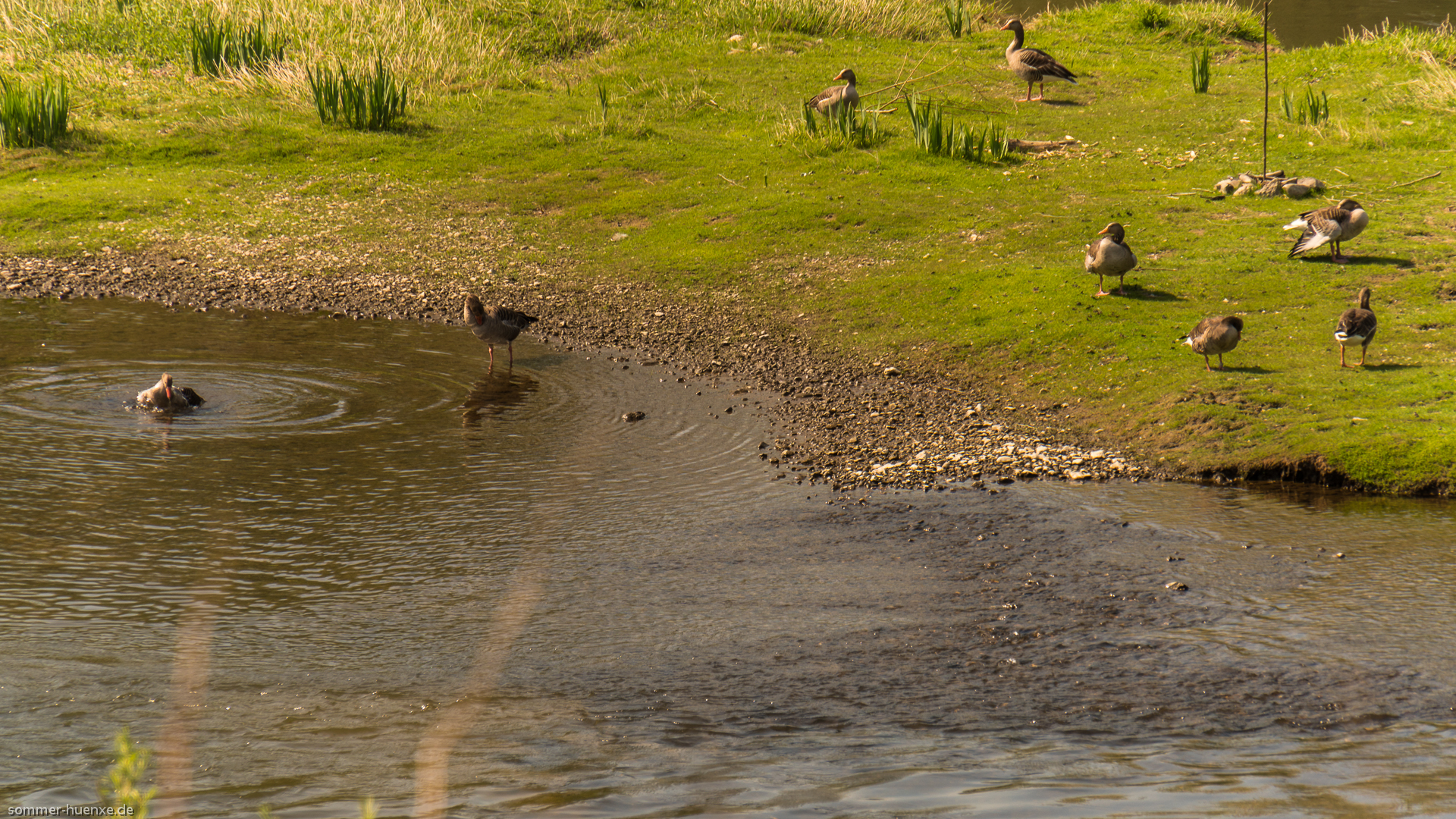 Frühling an der Lippe