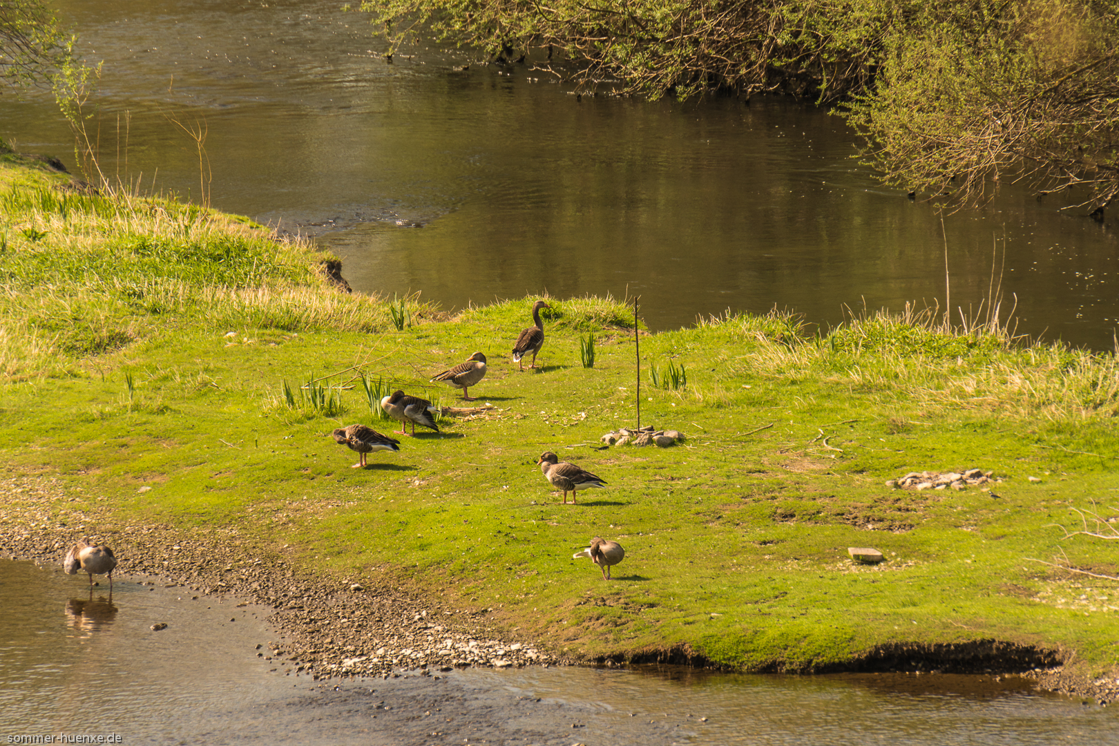 Frühling an der Lippe