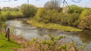 Frühling an der Lippe