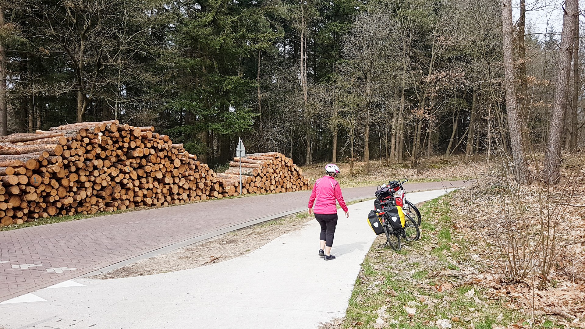 Fahrradwege vom Feinsten