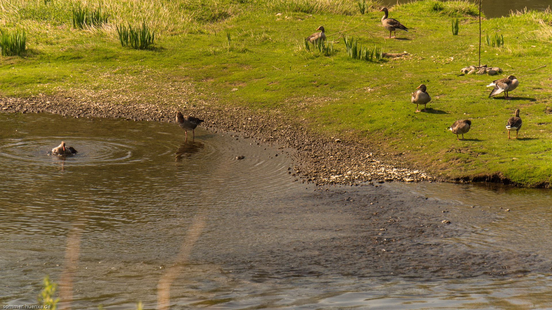 Frühling an der Lippe