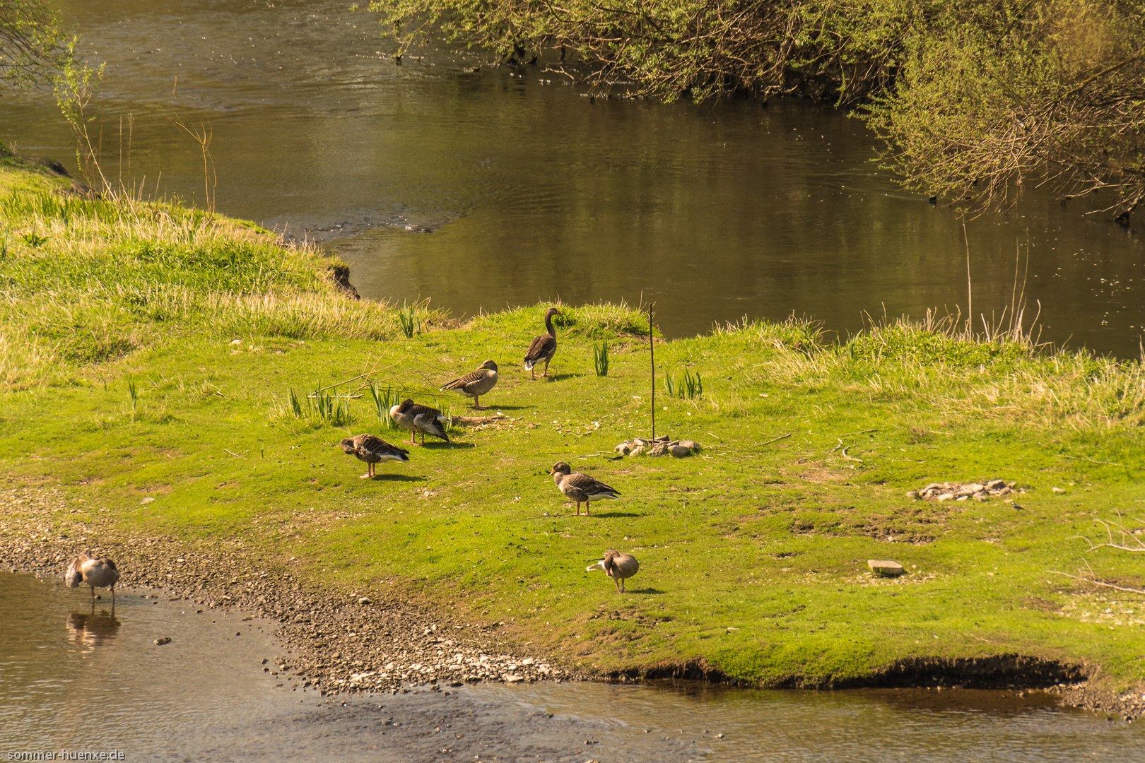 Frühling an der Lippe
