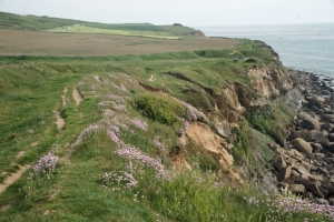 Cap Gris-Nez - View SSW along Côte d'Opale