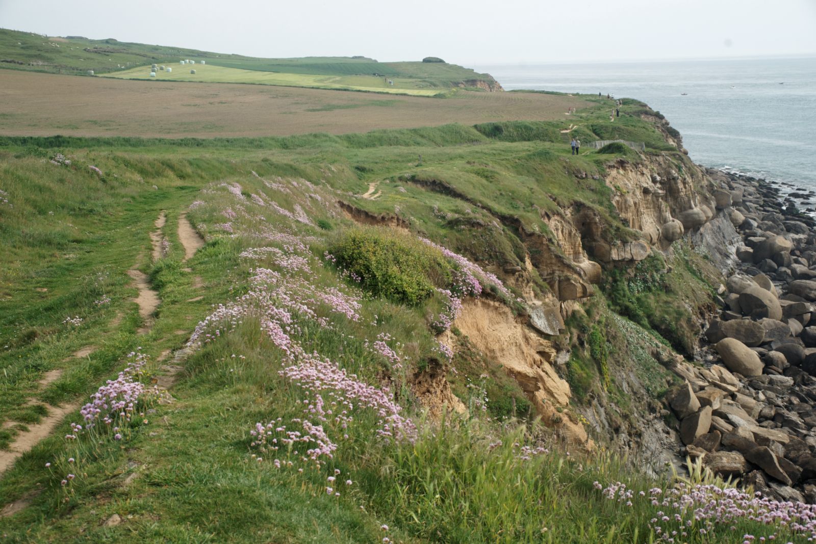 Cap Gris-Nez - View SSW along Côte d'Opale