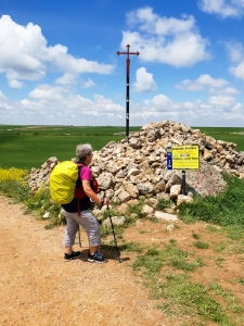 My Camino 2018
