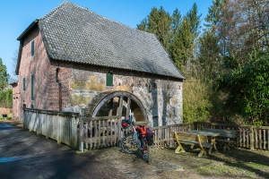Der Frühling steht in den Startlöchern