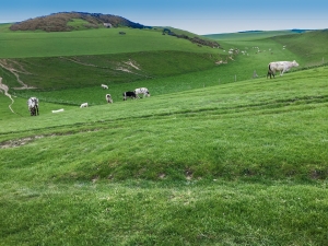 Weg zum Cap Blanc-Nez