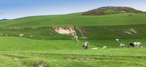Weg zum Cap Blanc-Nez