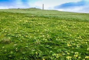 Aufstieg zum Cap Blanc-Nez