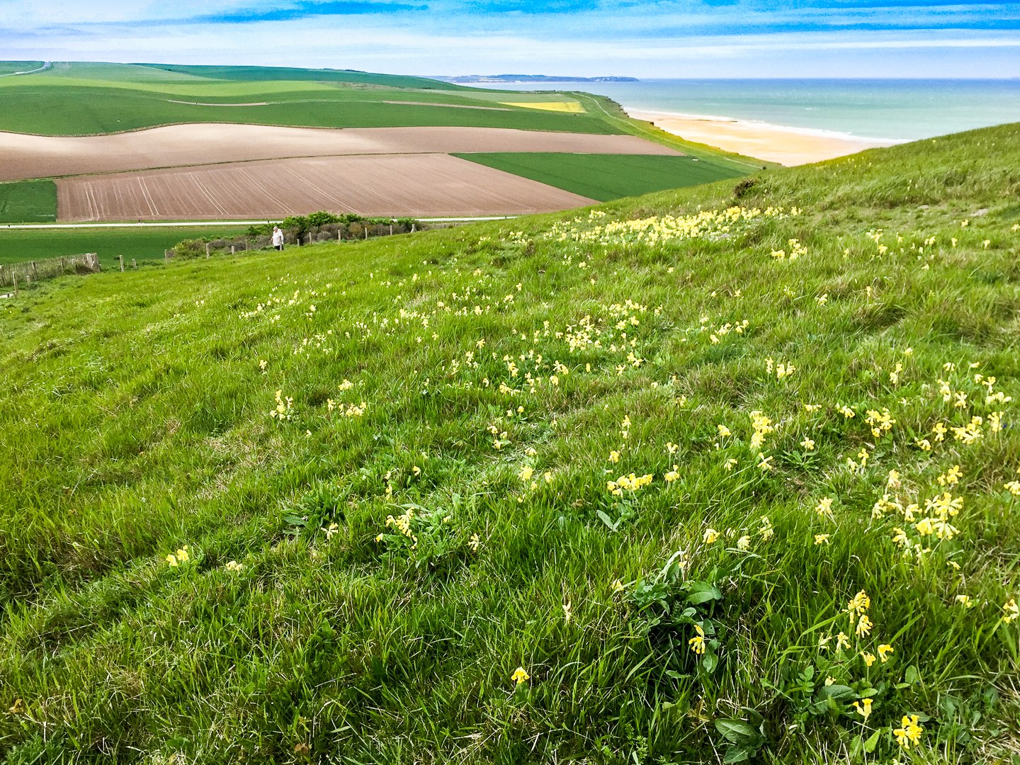 Weg zum Cap Blanc-Nez