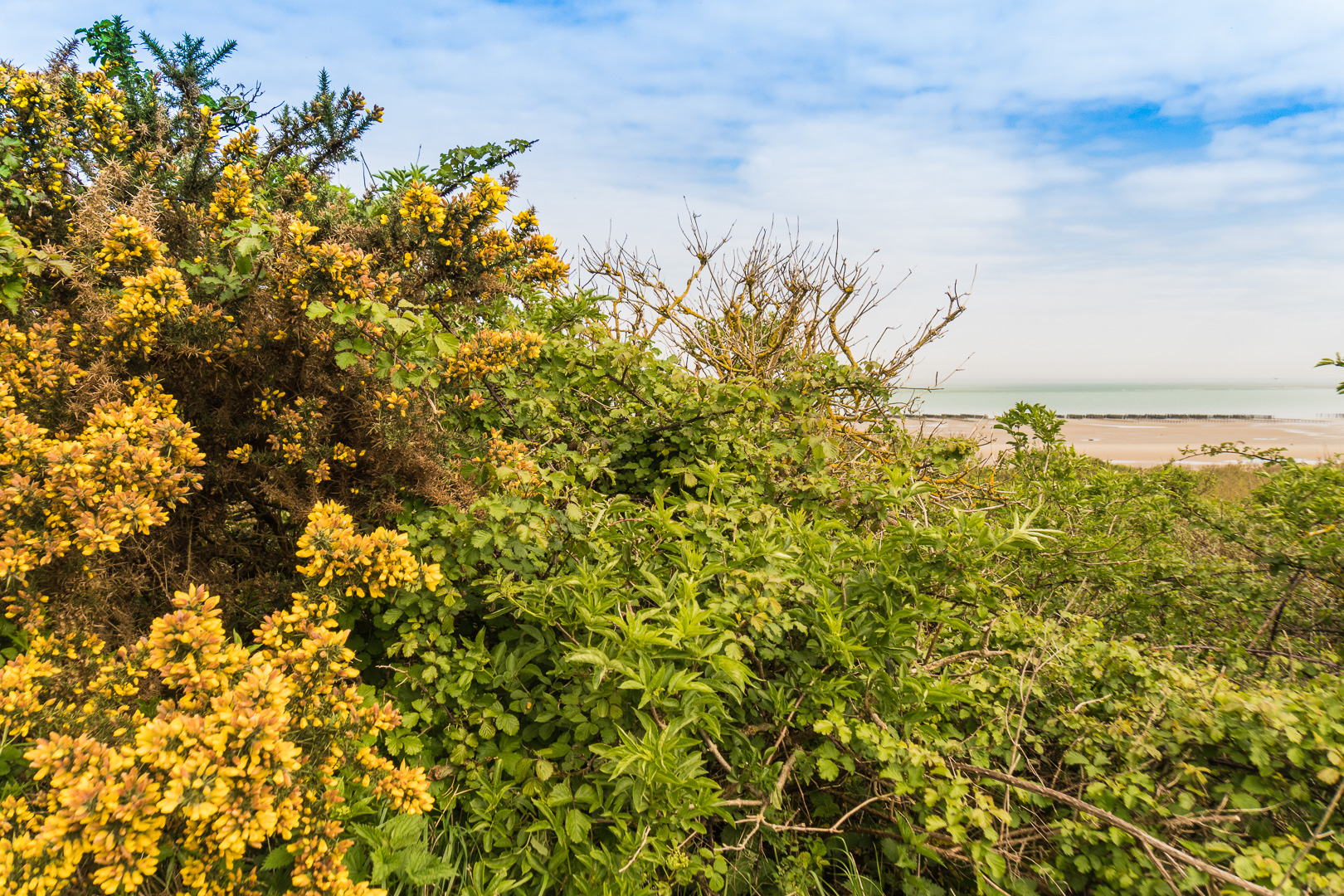Wissant - Cap Gris-Nez