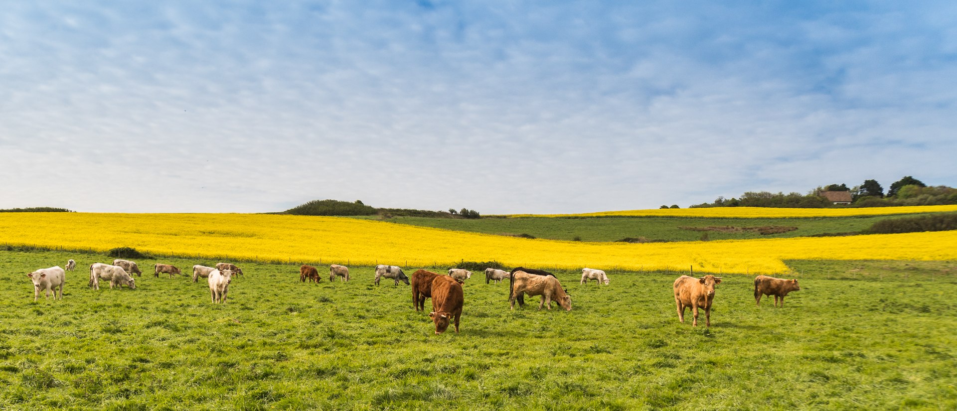 GR 120 zum Cap Gris-Nez