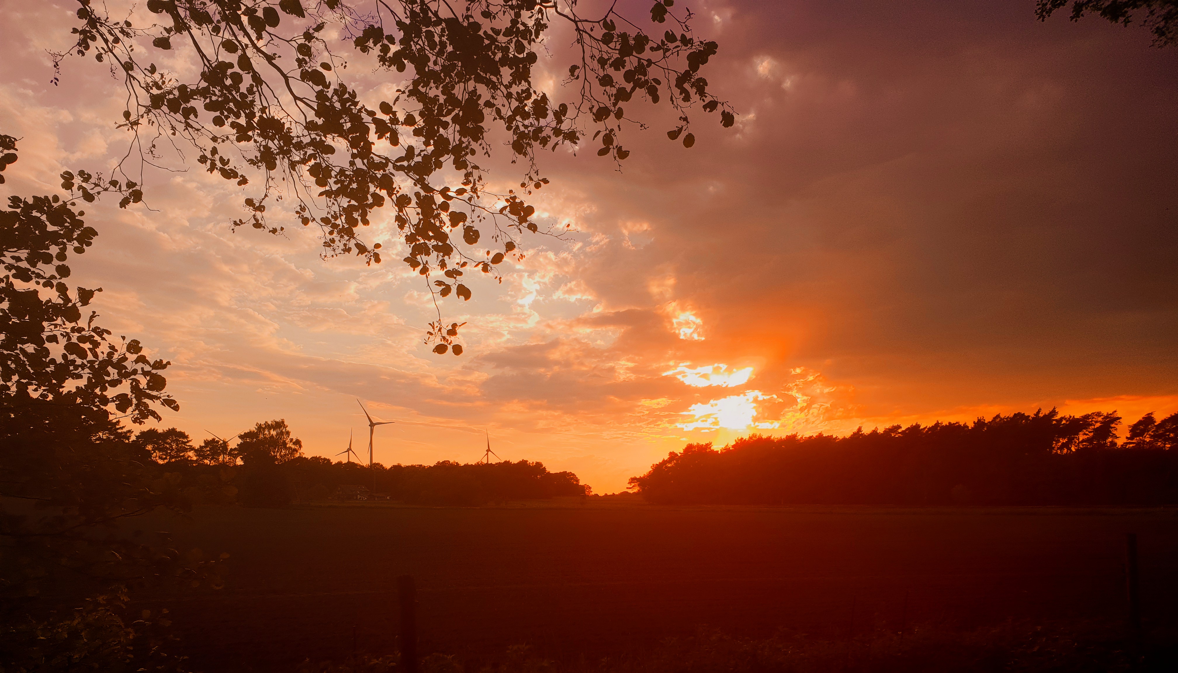 Mit Google Foto bearbeitet