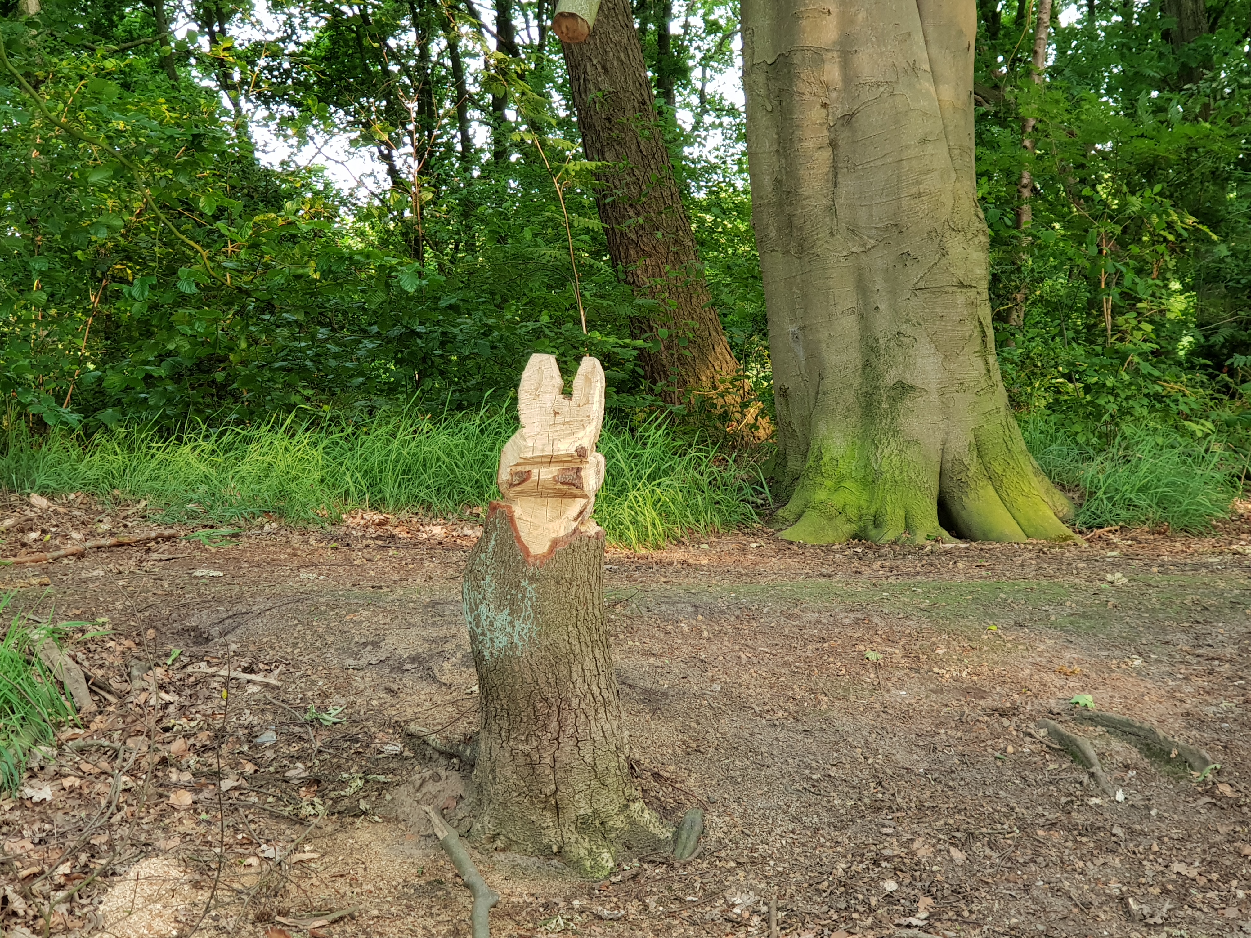 Hasenbaum am Bahndamm