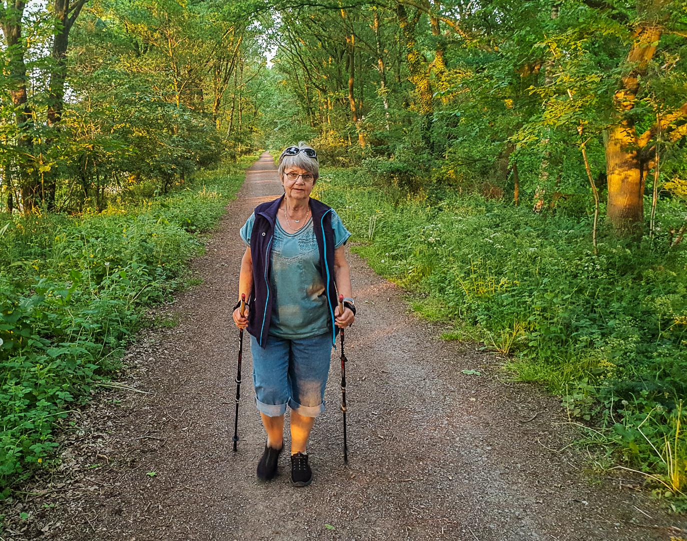 Abendlicht am Bahndamm