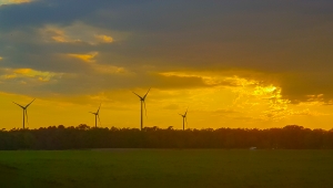 Windräder auf Lühlerheim im Abendlicht