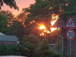 Sonnenuntergang am Bensumskamp