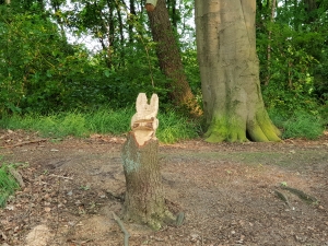 Hasenbaum am Bahndamm