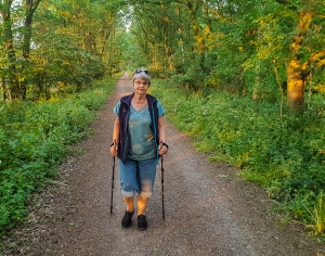 Abendlicht am Bahndamm