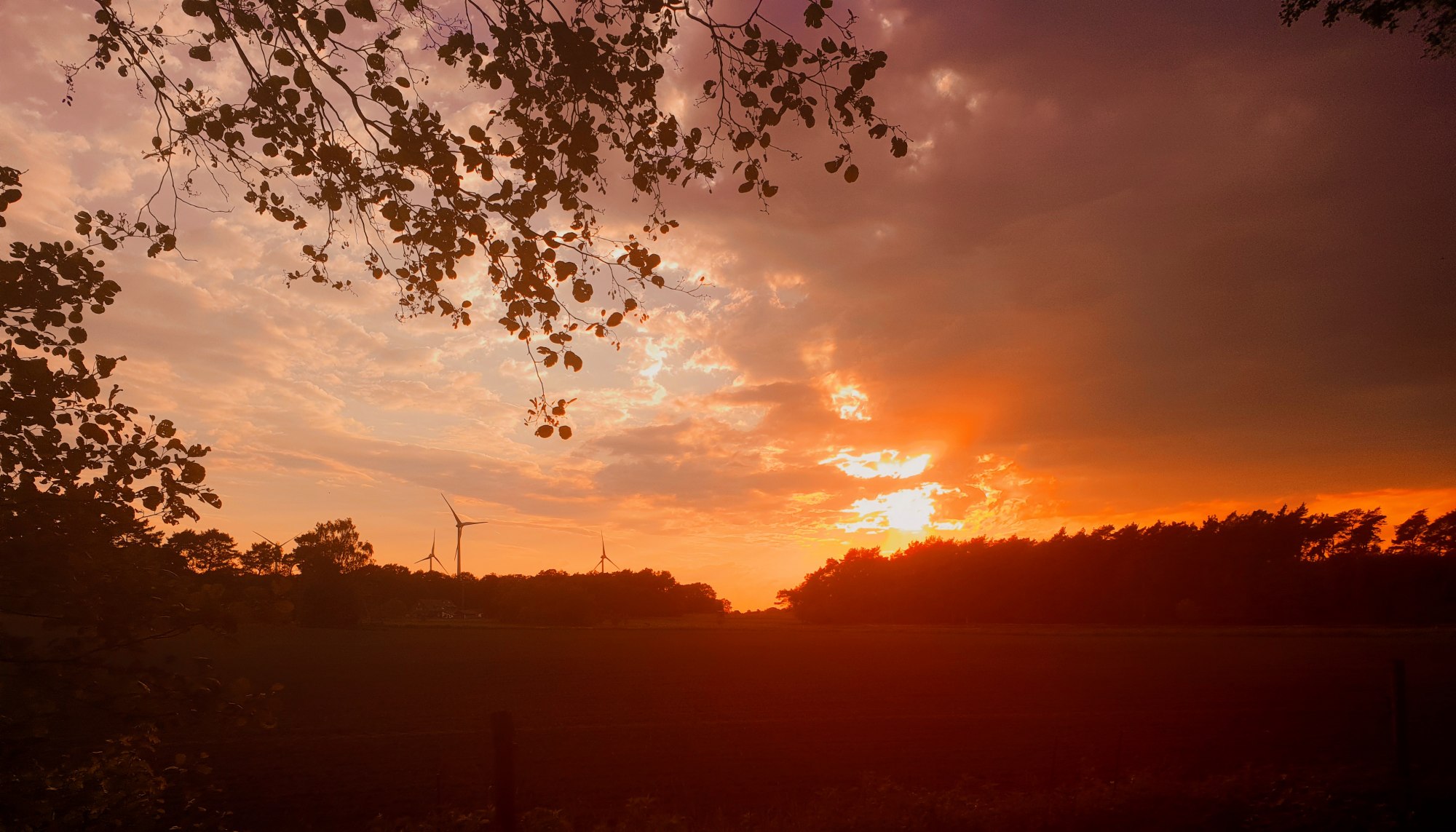 Mit Google Foto bearbeitet