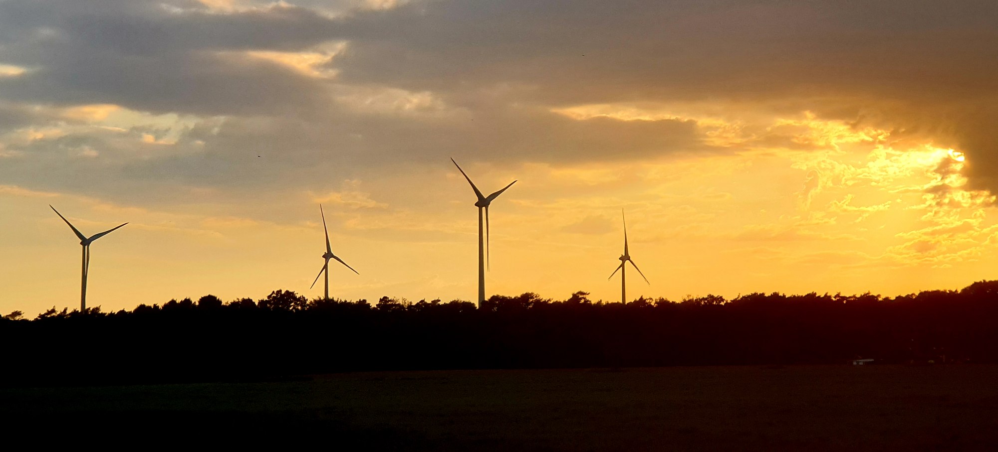 Windräder im Abendlicht