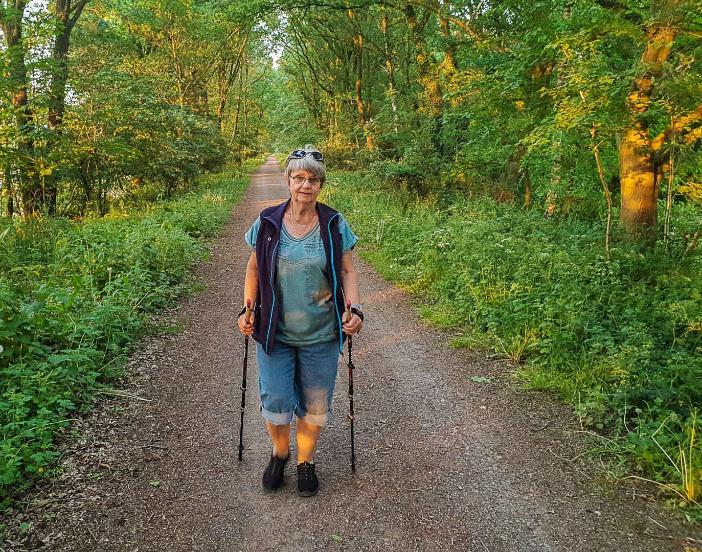 Abendlicht am Bahndamm