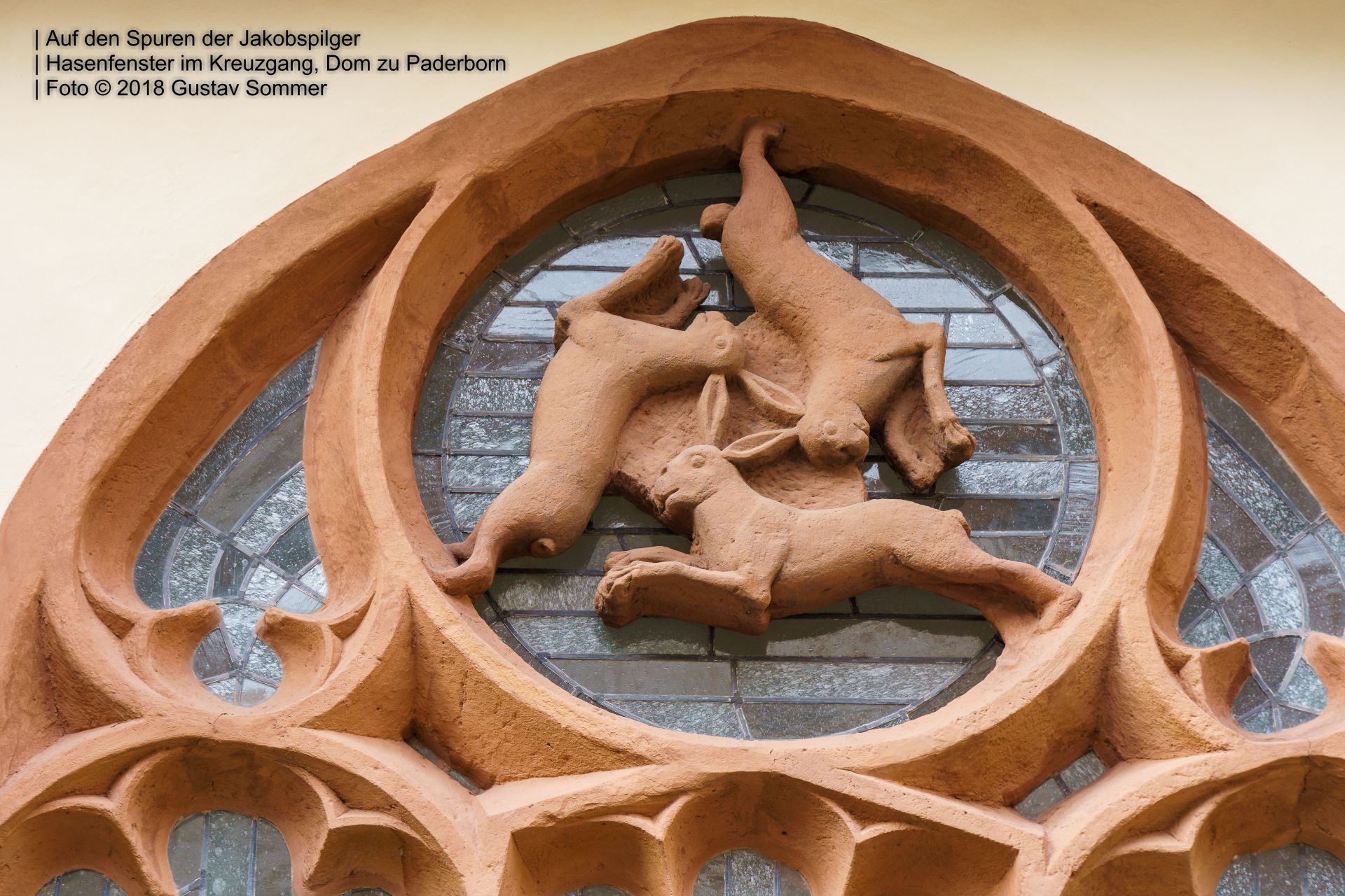 Bild 29 Hasenfenster im Kreuzgang, Dom Paderborn