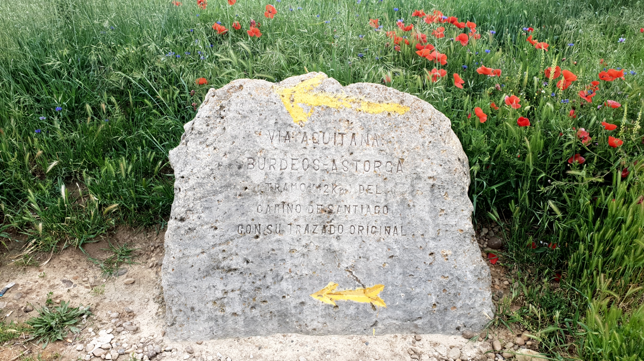 Wegseiser in der Meseta