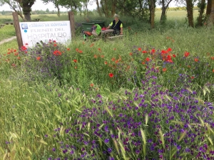 Rastplatz in der Meseta 