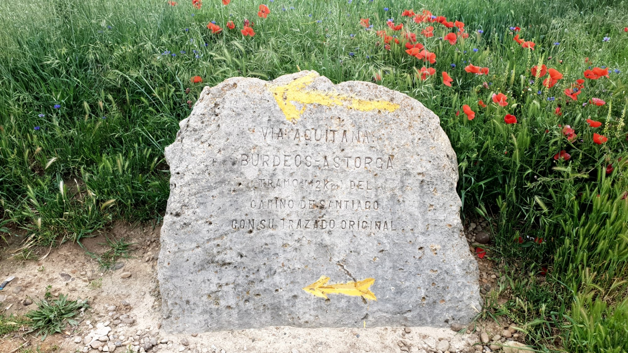 Wegseiser in der Meseta