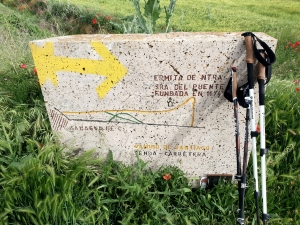 Auf dem CAMINO nach Sahagún