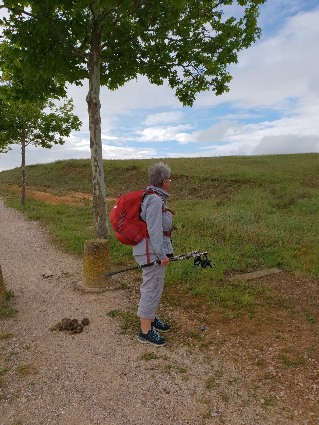 Sahagún - El Burgo Ranero