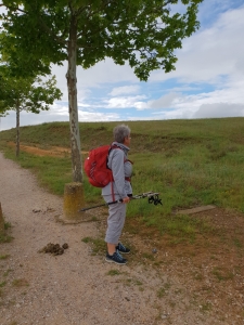 Sahagún - El Burgo Ranero 