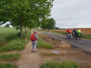 Sahagún - El Burgo Ranero